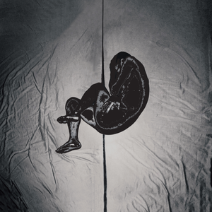 AV国产剧情MD精品磨豆
